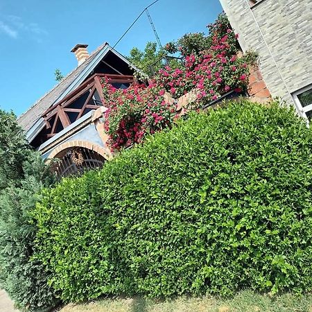 Apartman Vrdnicak Vrdnik Exterior foto