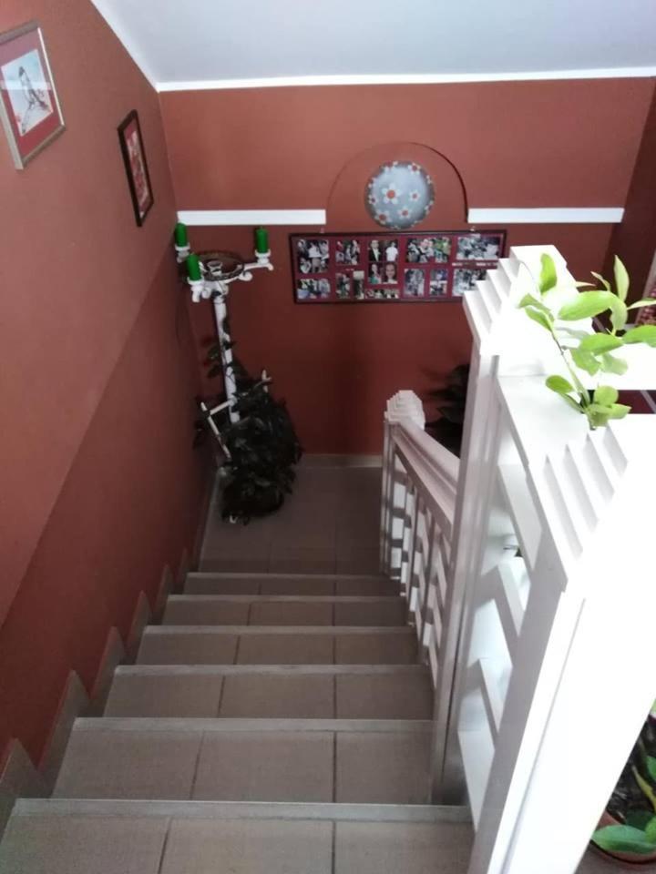 Apartman Vrdnicak Vrdnik Exterior foto