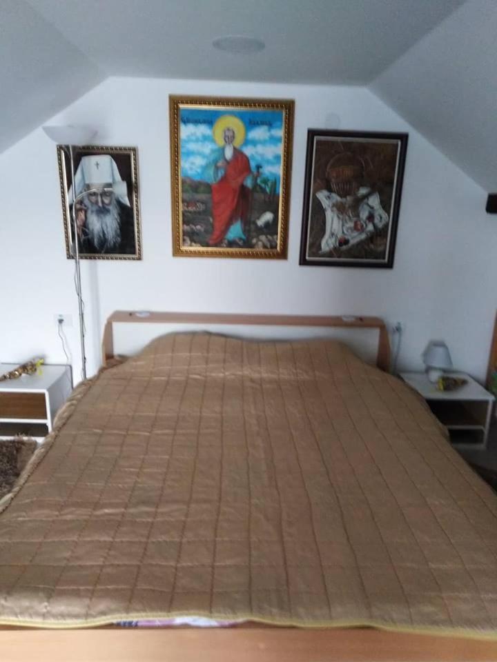 Apartman Vrdnicak Vrdnik Exterior foto