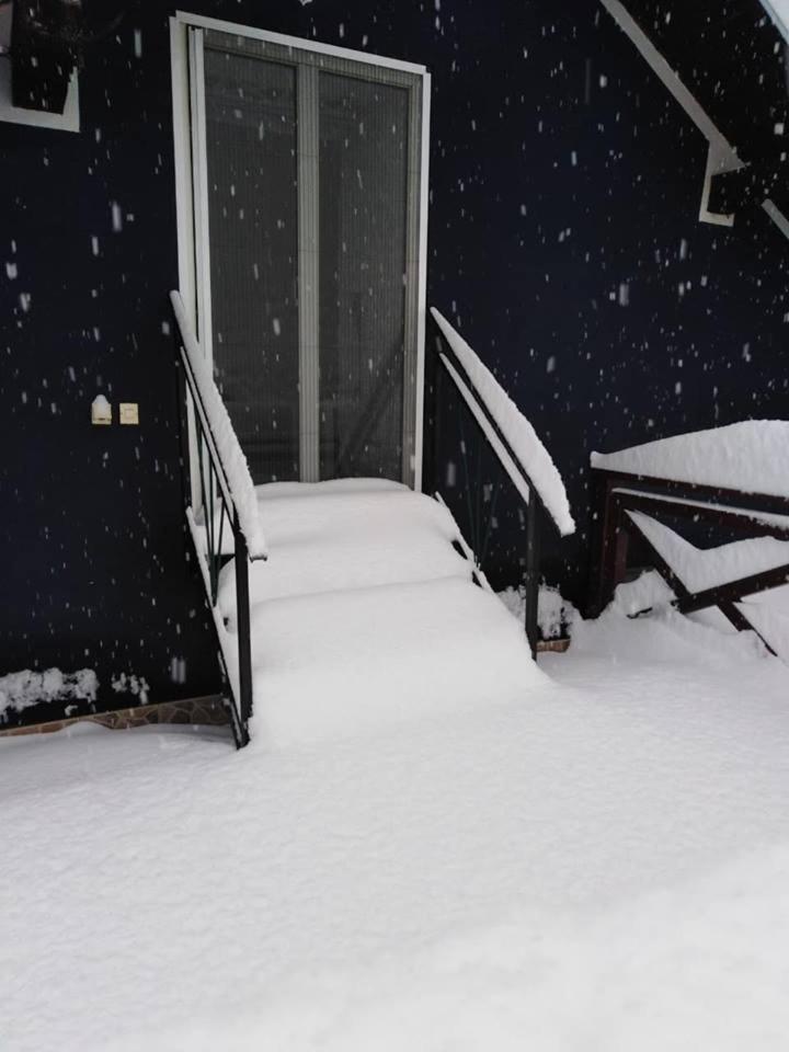 Apartman Vrdnicak Vrdnik Exterior foto